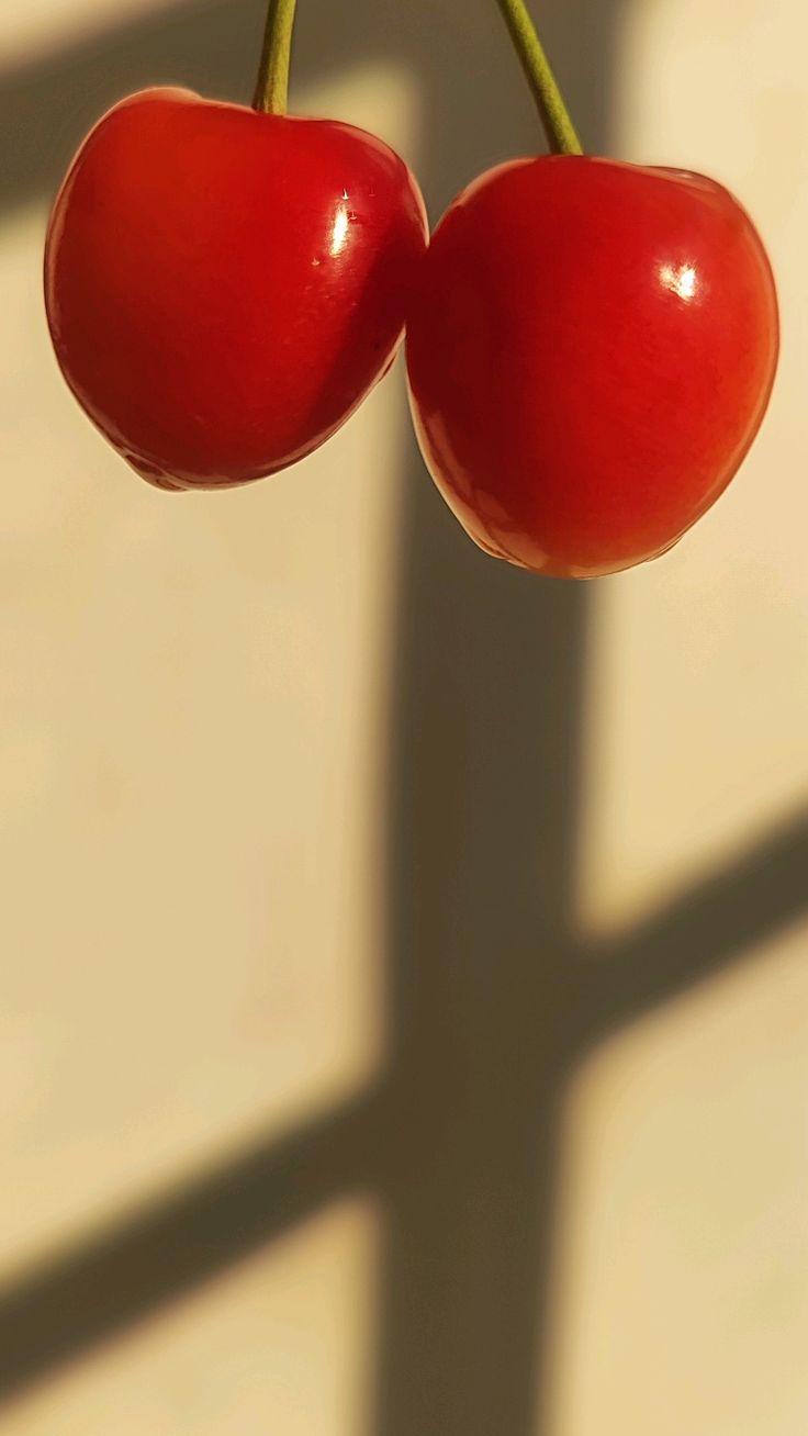 Orchard Oasis: Tree-Ripened Fruit Assortment
